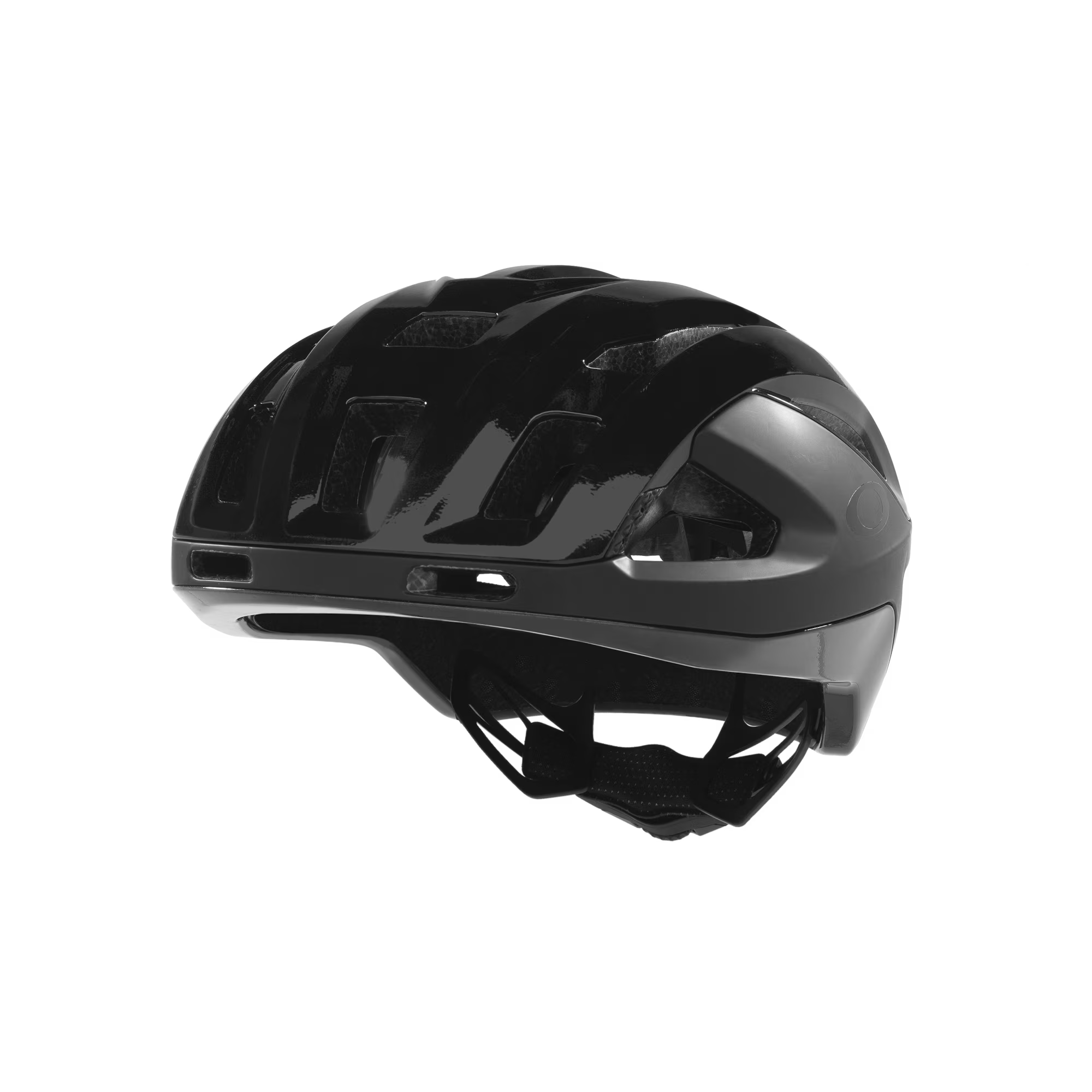 Oakley ARO3 endurance Polished Black